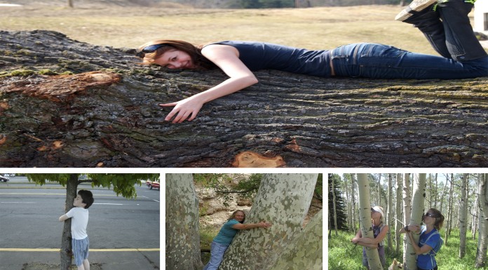 Abrazar árboles podría ser bueno para tu salud?