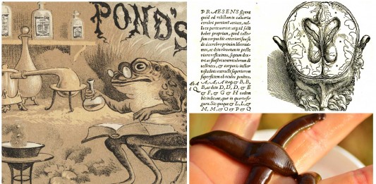 5 antiguos remedios que ¡aún se usan y funcionan!