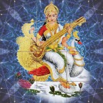 sarvasti india