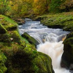 arroyo de Bolton