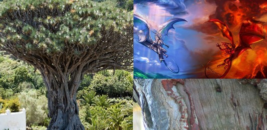 La fantástica resina SANGRE DE DRAGO