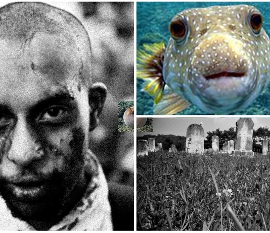 La sustancia haitiana CREADORA de ZOMBIS