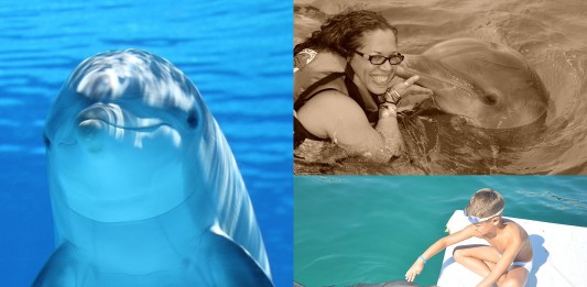 La beneficiosa terapia con DELFINES