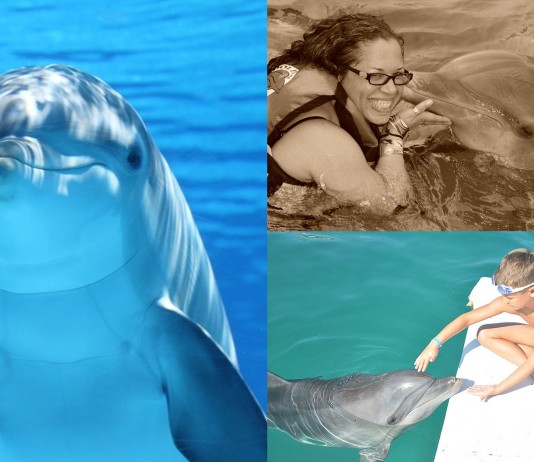 La beneficiosa terapia con DELFINES La beneficiosa terapia con DELFINES