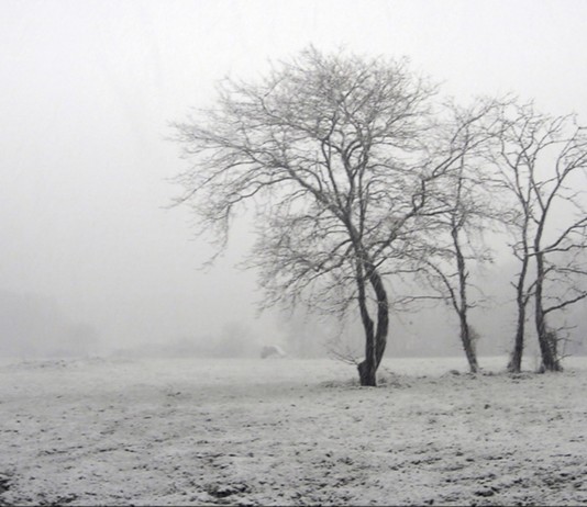 El año del invierno más LARGO: 1816