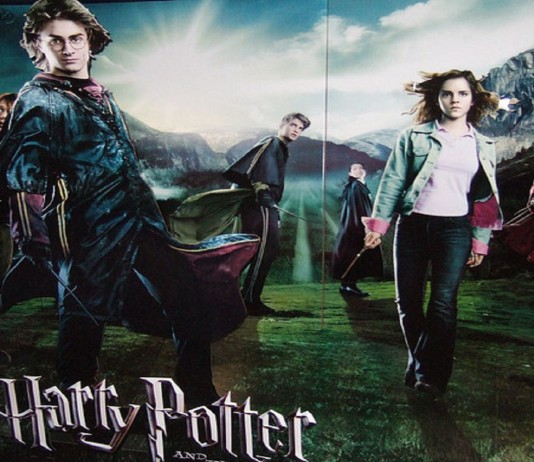 ¡Revelado! ¿Qué ocurrió con los personajes de Harry Potter después de Hogwarts?