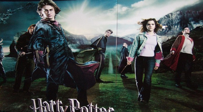 ¡Revelado! ¿Qué ocurrió con los personajes de Harry Potter después de Hogwarts?