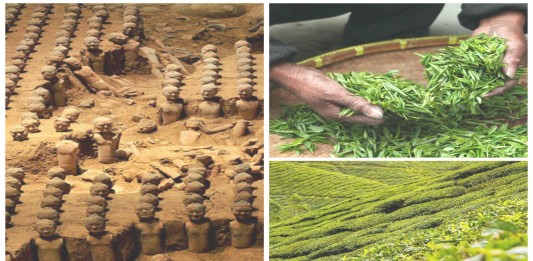 La tumba del emperador Xing y el té más antiguo del mundo Historia del te más antiguo del mundo