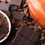 alimentos toxicos para perros