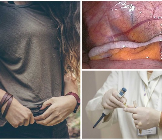 apéndice podría tener UTILIDAD