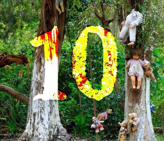 10 datos INQUIETANTES sobre el bosque de los suicidios de Japón 10 datos INQUIETANTES sobre el bosque de los suicidios de Japón