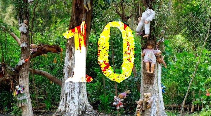 10 datos INQUIETANTES sobre el bosque de los suicidios de Japón