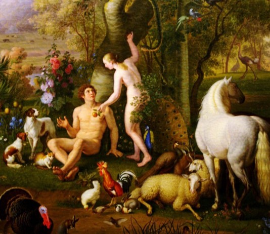 La costilla de Adán pudo ser otra parte de su cuerpo… La costilla de Adán pudo ser otra parte de su cuerpo...