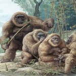 «King Kong» existió en la vida real: ¡Descubre por qué se extinguió!