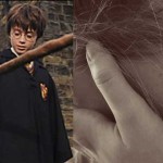 escobas harry potter dilema