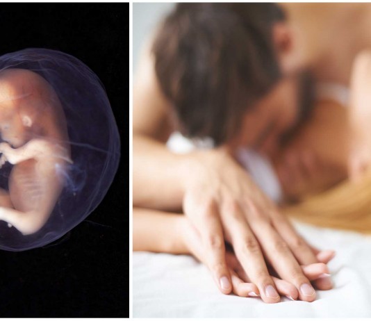 ¿Qué siente un feto cuando su mamá "mantiene relaciones"?