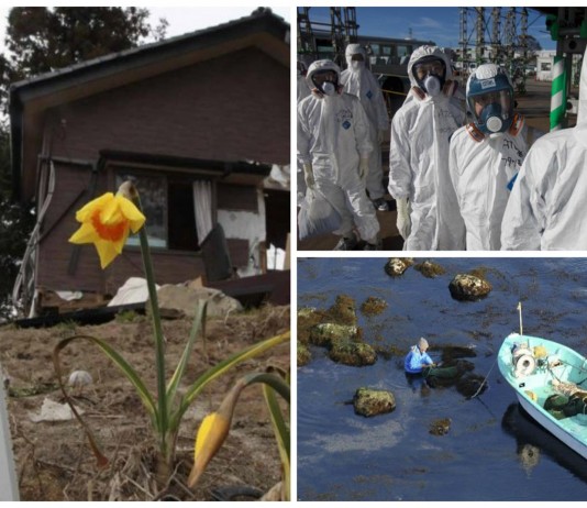 Fukushima: el impacto de la catástrofe en la actualidad Fukushima: el impacto de la catástrofe en la actualidad