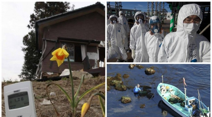 Fukushima: el impacto de la catástrofe en la actualidad