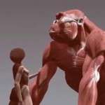 «King Kong» existió en la vida real: ¡Descubre por qué se extinguió!
