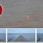 paso de gois