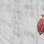 Profecías de Rasputín