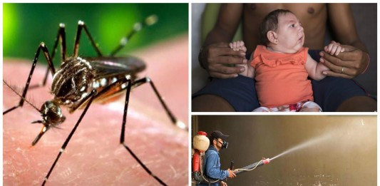 ¡Alerta! ¡Cuidado con el virus Zika!