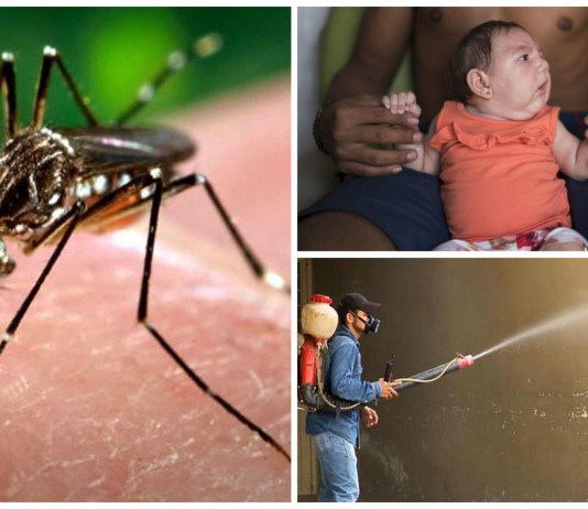 ¡Alerta! ¡Cuidado con el virus Zika! ¡Alerta! ¡Cuidado con el virus Zika!