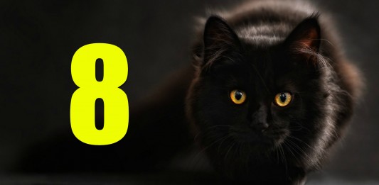 8 razones por las que podría atacarte un gato