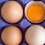 datos curiosos del huevo