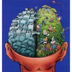 ¿Cuál es la diferencia entre tu hemisferio izquierdo y el derecho?