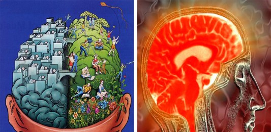 ¿Cuál es la diferencia entre tu hemisferio izquierdo y el derecho? ¿Cuál es la diferencia entre tu hemisferio izquierdo y el derecho?