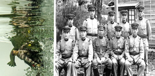 La supuesta PEOR masacre de humanos devorados por animales La supuesta PEOR masacre de humanos devorados por animales