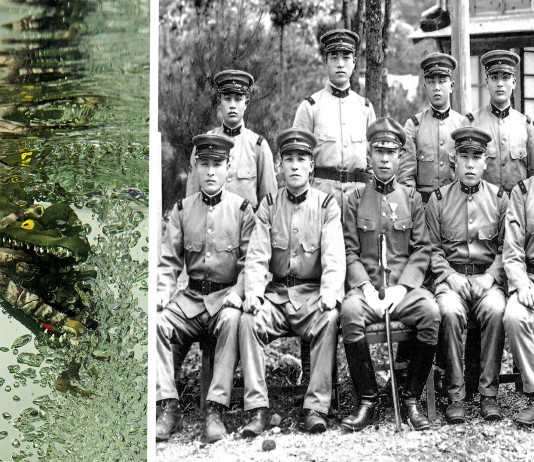 La supuesta PEOR masacre de humanos devorados por animales