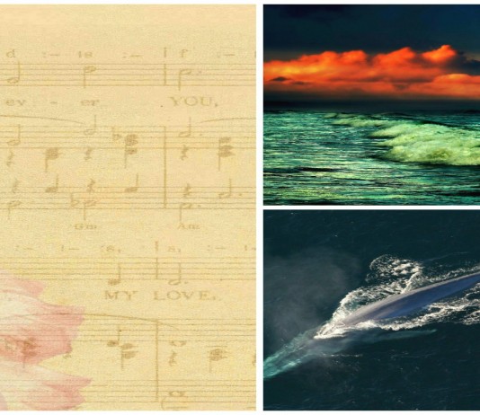 La impresionante sinfonía del mar