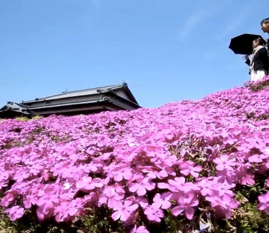 Descubre lo que un hombre hizo por amor a su esposa