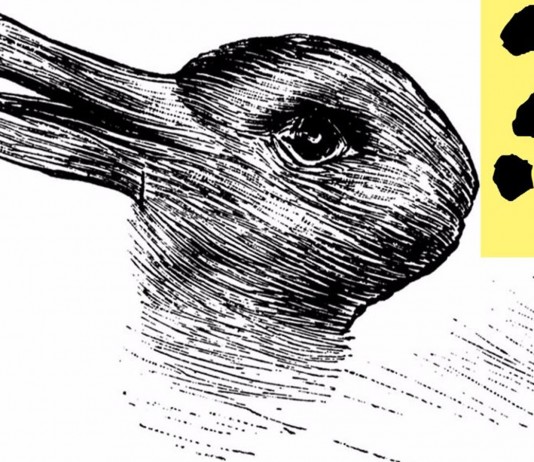 ¿Qué animales ves? ¡Tu rapidez mental a PRUEBA! ¿Qué animales ves? ¡Tu rapidez mental a PRUEBA!