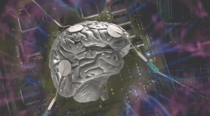 ¿El entrenamiento cognitivo puede cambiar nuestro cerebro?