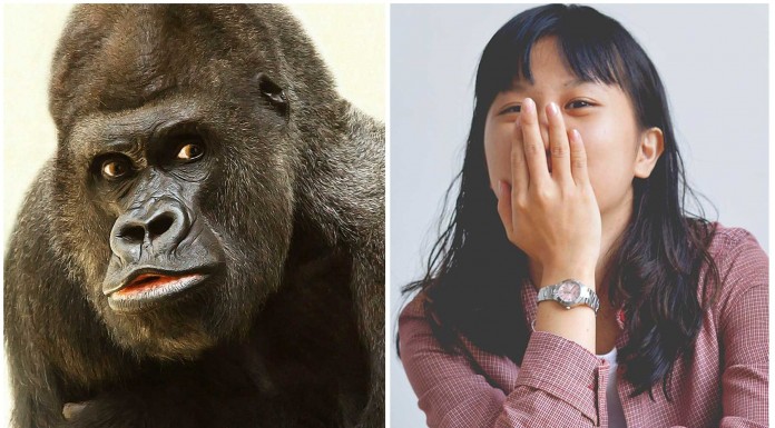 el gorila japonés