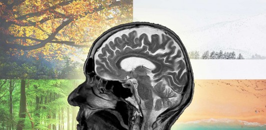 ¿Verano, invierno…? ¡Hay estaciones en las que piensas mejor! estaciones mente