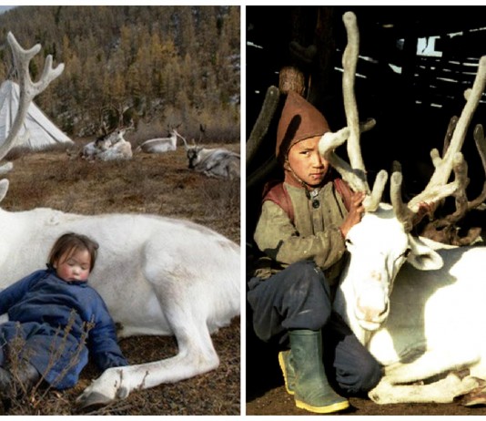 Conoce al maravilloso pueblo "Reno" de Mongolia