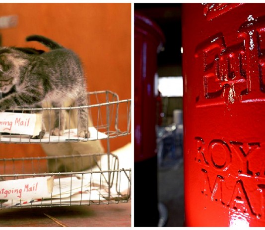 Descubre la historia de los gatos de la "Royal Mail": ¡Tenían su propio salario!