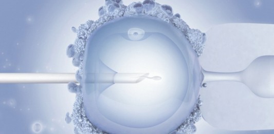 ¿El primer espermatozoide robótico?