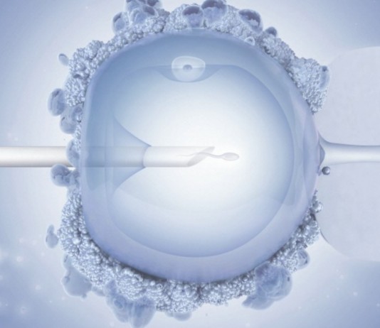 ¿El primer espermatozoide robótico?