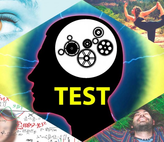 TEST: ¿Qué tipo de inteligencia destaca en ti?