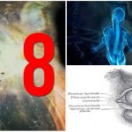 8 cambios evolutivos que puedes hallar en tu propio cuerpo