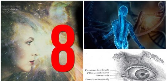 8 cambios evolutivos que puedes hallar en tu propio cuerpo