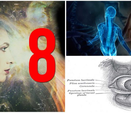 8 cambios evolutivos que puedes hallar en tu propio cuerpo 8 cambios evolutivos que puedes hallar en tu propio cuerpo