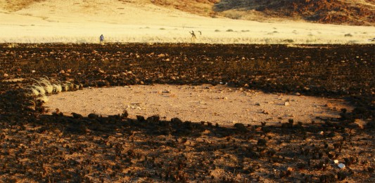 Más misterio: ahora los círculos de Namibia también en Australis