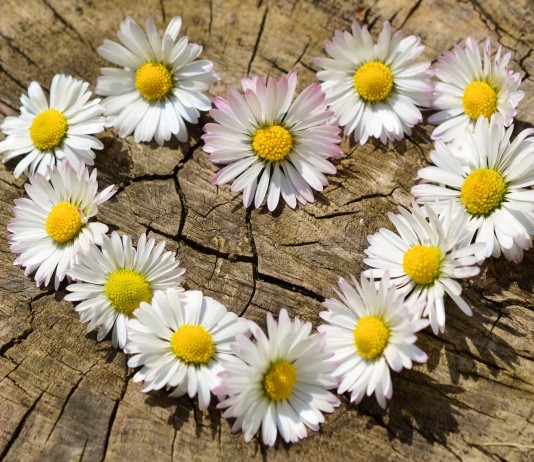 Características de las personas muy enamoradizas