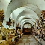 Diseño sin título (2)